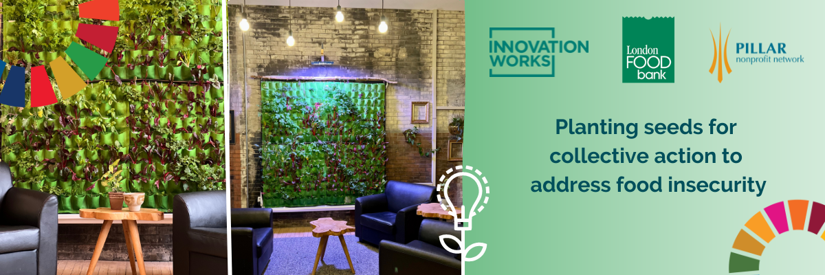 Image of a indoor wall garden installed in the cafe section of co-working space Innovation Works. 